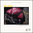 CRAIG HADDEN & CHARLIE CARR "Old Gold" - Analog Pearls Vol.4 • LP
