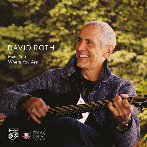 DAVID ROTH - Meet You Where You Are • 2-LP