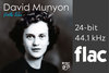 David Munyon - Pretty Blue - 24bit/44.1kHz .flac